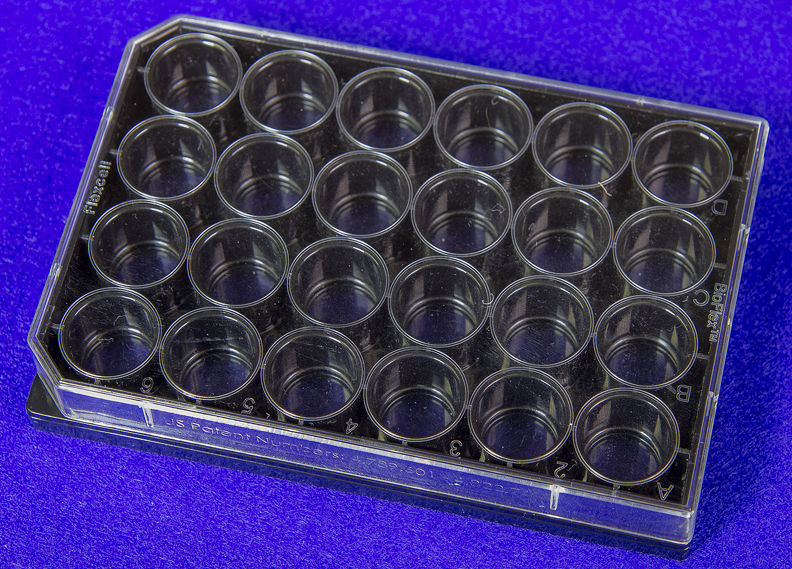 HT BioFlex® 24-Well Culture Plates - Black | Flexcell